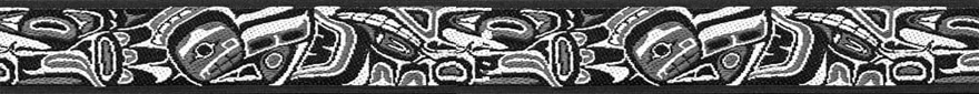 native-navyinsequence1.jpg native-navyinsequence1.jpg
