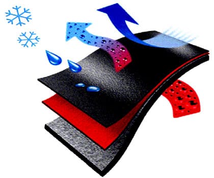 softshell.jpg softshell.jpg